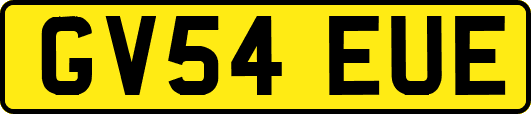 GV54EUE