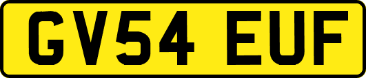GV54EUF