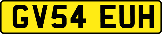 GV54EUH