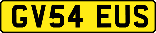 GV54EUS