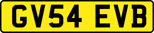 GV54EVB