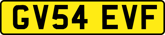 GV54EVF