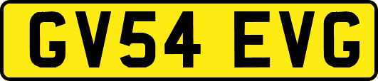 GV54EVG
