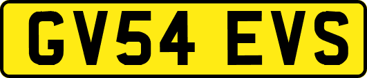 GV54EVS