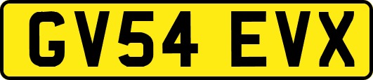 GV54EVX