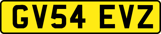 GV54EVZ