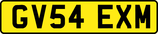 GV54EXM