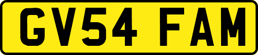 GV54FAM