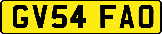 GV54FAO