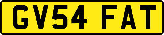 GV54FAT