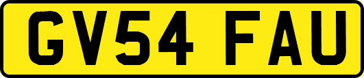 GV54FAU