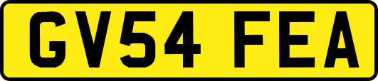 GV54FEA
