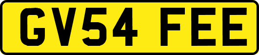 GV54FEE