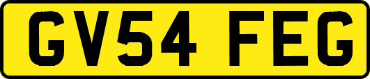GV54FEG