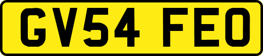 GV54FEO
