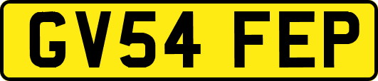 GV54FEP