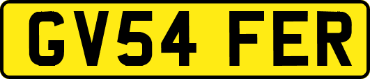 GV54FER