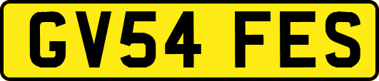 GV54FES