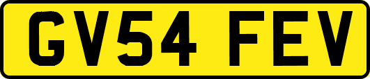 GV54FEV