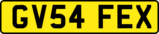 GV54FEX