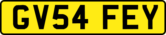 GV54FEY