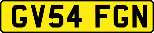 GV54FGN