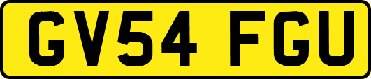 GV54FGU