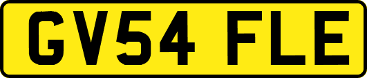 GV54FLE