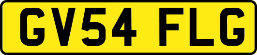 GV54FLG