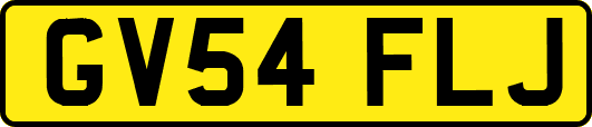 GV54FLJ