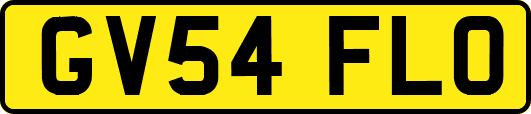 GV54FLO