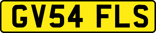GV54FLS