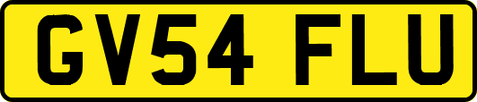GV54FLU