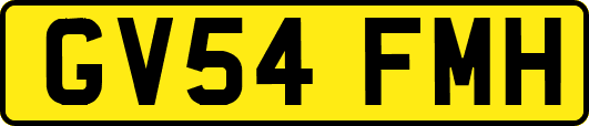 GV54FMH