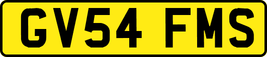 GV54FMS