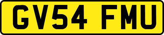 GV54FMU