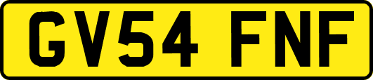 GV54FNF