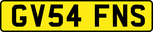 GV54FNS