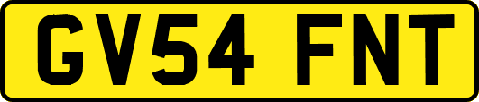 GV54FNT