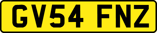 GV54FNZ