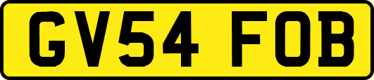 GV54FOB