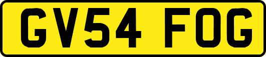 GV54FOG