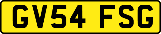 GV54FSG