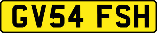 GV54FSH