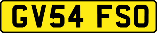 GV54FSO