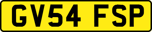GV54FSP
