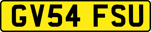 GV54FSU