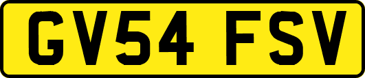 GV54FSV