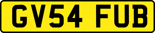 GV54FUB
