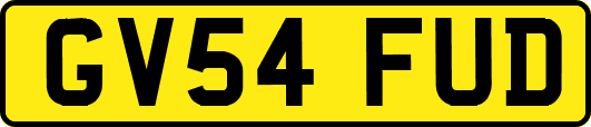 GV54FUD